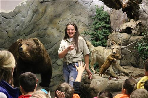 Student tour in wildlife museum 