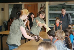 wildlife docent