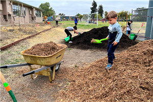 mulching