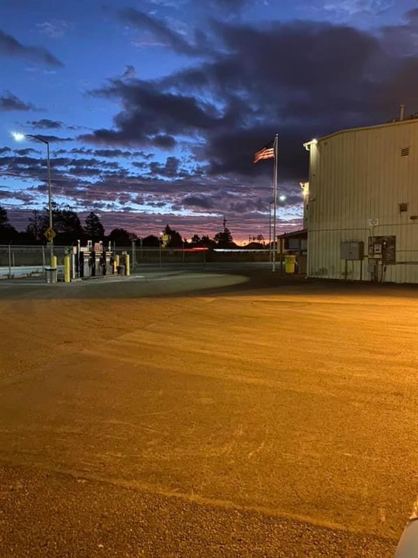 Bus Yard Morning