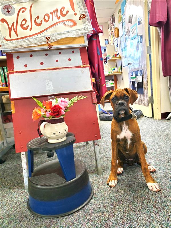 our welcome sign and a puppy