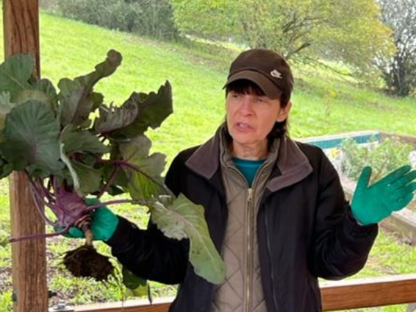 Gardener with plant