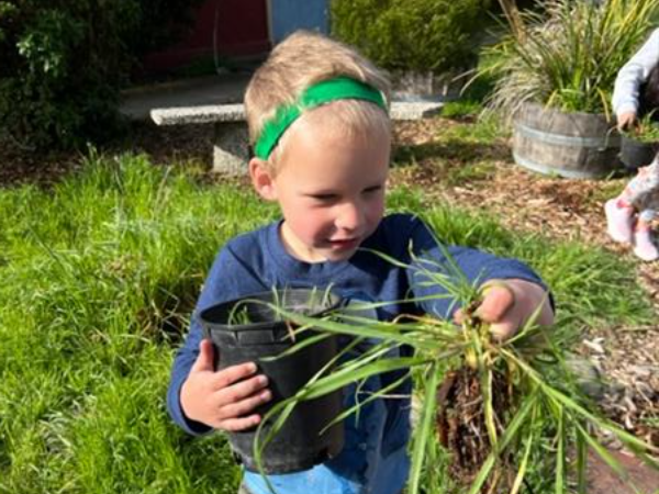 Boy pulling weeds