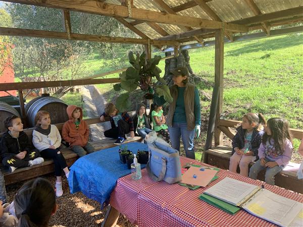 Kindergarteners in garden classroom